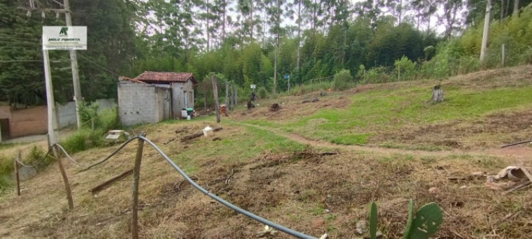 Imagem Chácara com 2 Quartos à Venda, 1.800 m² em Caetê - São Roque Imagem Chácara com 2 Quartos à Venda, 1.800 m² em Caetê - São Roque
