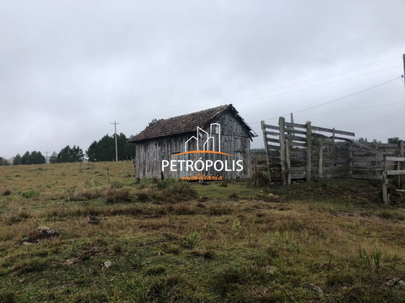 Imagem Terreno à Venda, 20.000 m² em área Rural De Caxias Do Sul - Caxias Do Sul