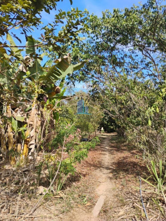 Imagem Imóvel com 3 Quartos à Venda, 1.300 m² em Zona Rural - Piracema