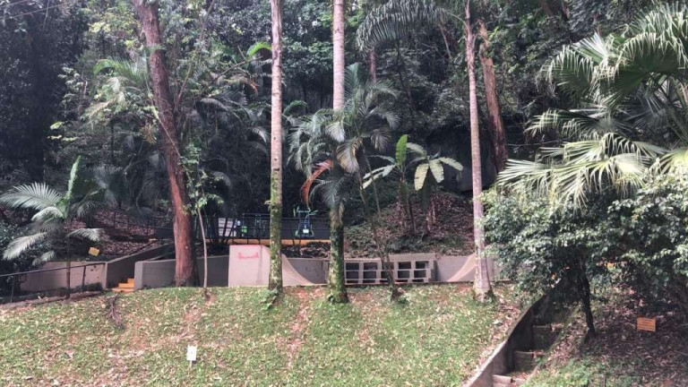 Imagem Apartamento com 3 Quartos à Venda, 68 m² em Vila Andrade - São Paulo Imagem Apartamento com 3 Quartos à Venda, 68 m² em Vila Andrade - São Paulo
