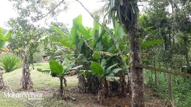 Imagem Chácara com 3 Quartos à Venda, 84.750 m² em Alexandra - Paranaguá