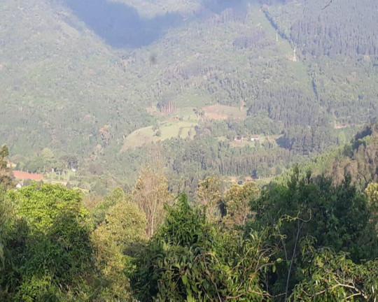 Imagem Imóvel à Venda, em Linha Olinda - Nova Petrópolis Imagem Imóvel à Venda, em Linha Olinda - Nova Petrópolis