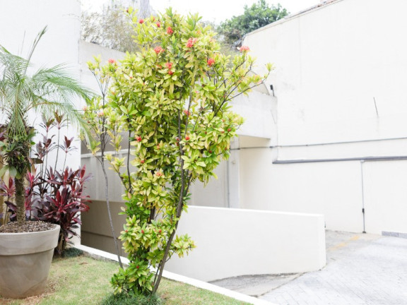 Imagem Imóvel com 3 Quartos à Venda, 130 m² em Jardim Paulista - São Paulo Imagem Imóvel com 3 Quartos à Venda, 130 m² em Jardim Paulista - São Paulo