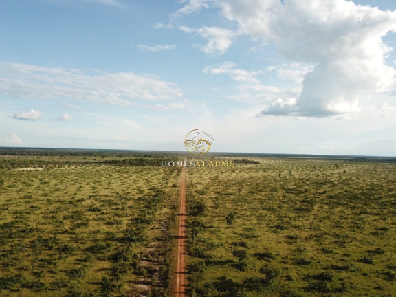 Imagem Imóvel com 3 Quartos à Venda, 40.000 m² em Capelinha - Conceição Do Araguaia Imagem Imóvel com 3 Quartos à Venda, 40.000 m² em Capelinha - Conceição Do Araguaia