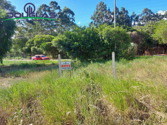 Imagem Terreno à Venda, 1.000 m² em Viamão Imagem Terreno à Venda, 1.000 m² em Viamão