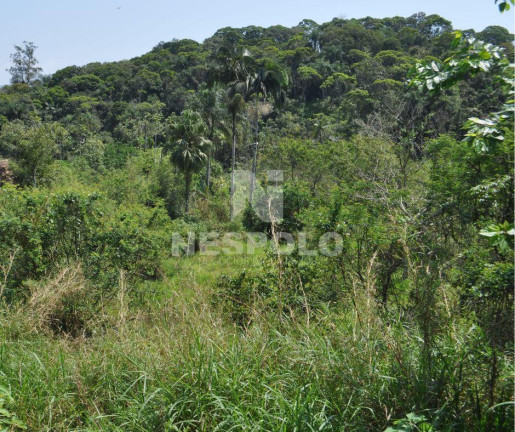Imagem Terreno à Venda,  em Fidélis - Blumenau