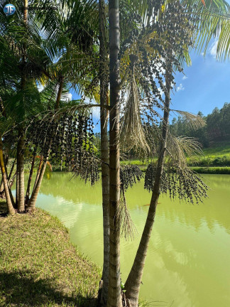 Imagem Chácara com 6 Quartos à Venda, 55.000 m² em Belo Oriente