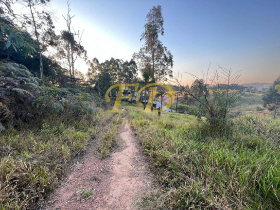 Imagem Terreno à Venda, 7.000 m² em Terra Preta (terra Preta) - Mairiporã Imagem Terreno à Venda, 7.000 m² em Terra Preta (terra Preta) - Mairiporã