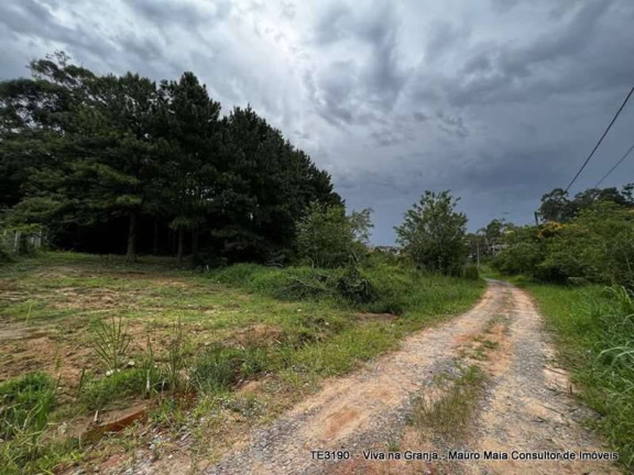 Terreno à Venda, 1.420 m² em Chácara Santa Lúcia - Carapicuíba