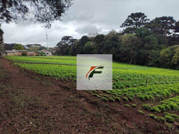 Imagem Terreno à Venda, 4.987 m² em Umbará - Curitiba Imagem Terreno à Venda, 4.987 m² em Umbará - Curitiba