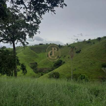 Imagem Chácara com 5 Quartos à Venda, 300 m² em Ribeirão Branco - Paraibuna Imagem Chácara com 5 Quartos à Venda, 300 m² em Ribeirão Branco - Paraibuna