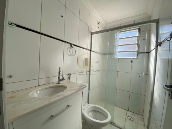 Imagem Apartamento com 2 Quartos para Alugar, 52 m² em Vila Boa Esperança - São José Do Rio Preto Imagem Apartamento com 2 Quartos para Alugar, 52 m² em Vila Boa Esperança - São José Do Rio Preto
