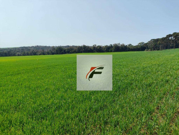 Fazenda à Venda, 847.000 m² em Centro - Lapa