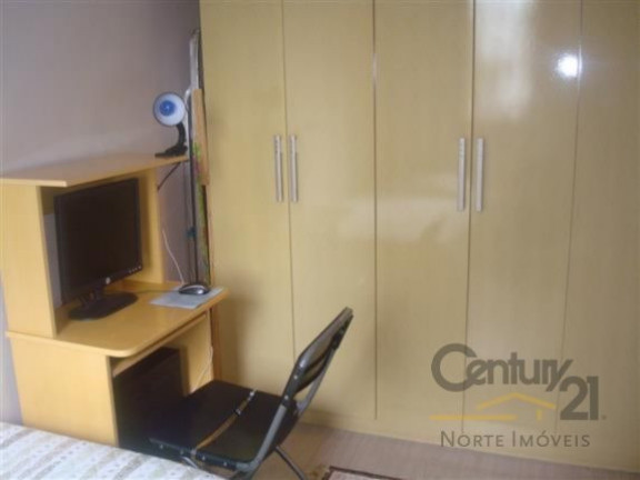 Imagem Apartamento com 3 Quartos à Venda,  em Vila Amélia - São Paulo
