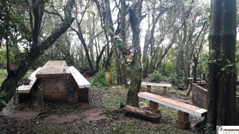 Imagem Imóvel com 2 Quartos à Venda, 95 m² em Zona Rural - Sentinela Do Sul Imagem Imóvel com 2 Quartos à Venda, 95 m² em Zona Rural - Sentinela Do Sul