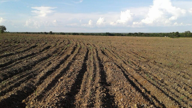 Imagem Fazenda à Venda, 831 m² em Setor Central - São Miguel Do Tocantins Imagem Fazenda à Venda, 831 m² em Setor Central - São Miguel Do Tocantins