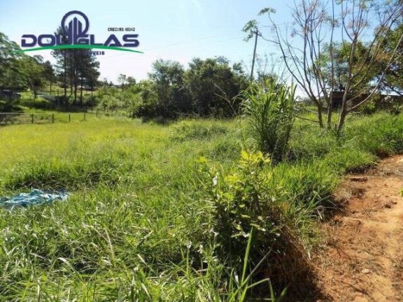 Imagem Imóvel Comercial à Venda, 5.000 m² em águas Claras - Viamão Imagem Imóvel Comercial à Venda, 5.000 m² em águas Claras - Viamão