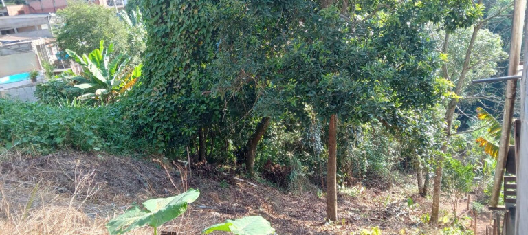 Imagem Terreno à Venda, 259 m² em São Roque Imagem Terreno à Venda, 259 m² em São Roque