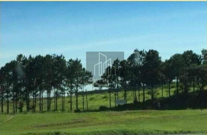 Imagem Terreno para Alugar, 10.900 m² em Vila Artura - Sorocaba Imagem Terreno para Alugar, 10.900 m² em Vila Artura - Sorocaba