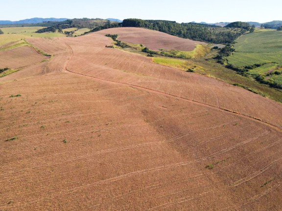 Imagem Fazenda à Venda, 895.000 m² em Centro - Andradas