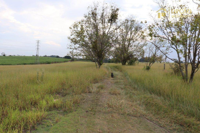 Imagem Fazenda à Venda, 338.800 m² em Palmital - Itu Imagem Fazenda à Venda, 338.800 m² em Palmital - Itu