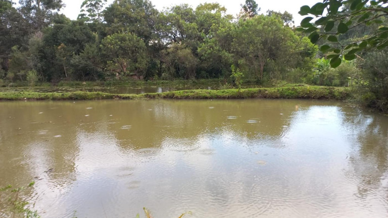 Imagem Imóvel com 3 Quartos à Venda, 11 m² em Olaria - Bocaiúva Do Sul