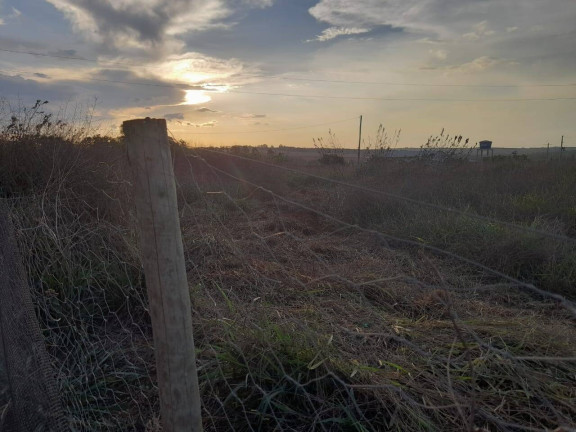 Imagem Chácara com 4 Quartos à Venda, 150 m² em área Rural De Anápolis - Anápolis