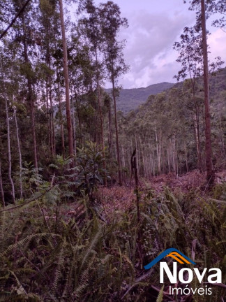 Imagem Imóvel à Venda, em Arroio Paixão - Nova Petrópolis Imagem Imóvel à Venda, em Arroio Paixão - Nova Petrópolis