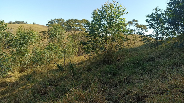 Imagem Chácara com 2 Quartos à Venda, 100 m² em Centro - Paraibuna Imagem Chácara com 2 Quartos à Venda, 100 m² em Centro - Paraibuna