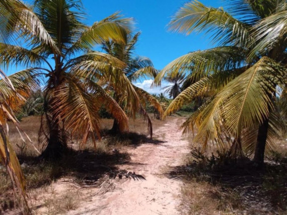 Imagem Terreno à Venda, 20.000 m² em Barra Do Jacuípe - Camaçari Imagem Terreno à Venda, 20.000 m² em Barra Do Jacuípe - Camaçari