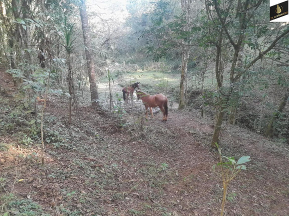 Imagem Imóvel com 2 Quartos à Venda, 19.517 m² em Zona Rural - Campo Magro Imagem Imóvel com 2 Quartos à Venda, 19.517 m² em Zona Rural - Campo Magro