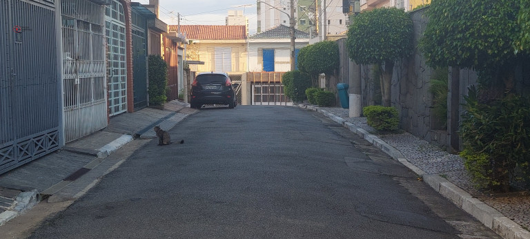 Imagem Sobrado com 3 Quartos à Venda, 197 m² em Vila Prudente - São Paulo Imagem Sobrado com 3 Quartos à Venda, 197 m² em Vila Prudente - São Paulo