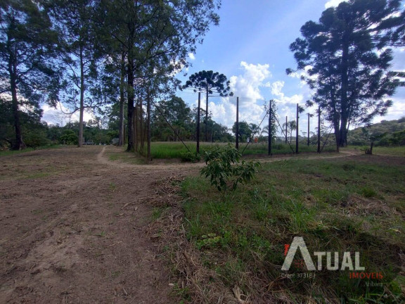 Imagem Terreno à Venda, 82 m² em Corumbá (terra Preta) - Mairiporã Imagem Terreno à Venda, 82 m² em Corumbá (terra Preta) - Mairiporã
