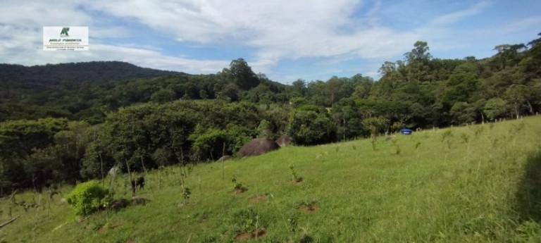 Imagem Chácara com 3 Quartos à Venda, 20.000 m² em Sorocamirim (canguera) - São Roque Imagem Chácara com 3 Quartos à Venda, 20.000 m² em Sorocamirim (canguera) - São Roque