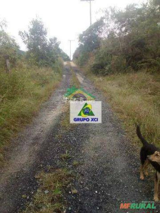 Fazenda à Venda, 770.000 m² em Bela Vista - Barra Do Turvo