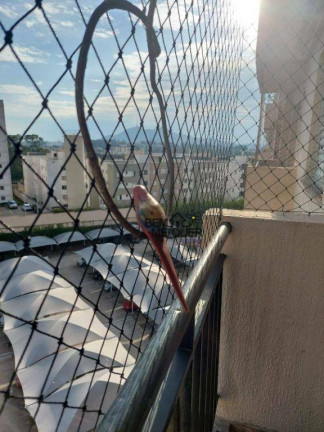 Imagem Apartamento com 2 Quartos à Venda, 42 m² em Jaraguá - São Paulo Imagem Apartamento com 2 Quartos à Venda, 42 m² em Jaraguá - São Paulo