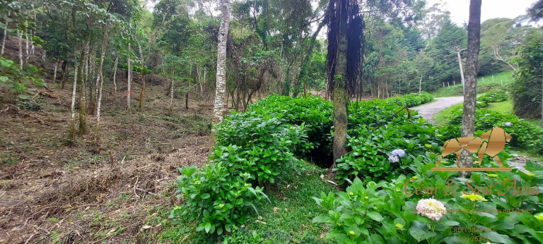 Imagem Terreno à Venda, 1.050 m² em Alto Da Boa Vista - Campos Do Jordão Imagem Terreno à Venda, 1.050 m² em Alto Da Boa Vista - Campos Do Jordão