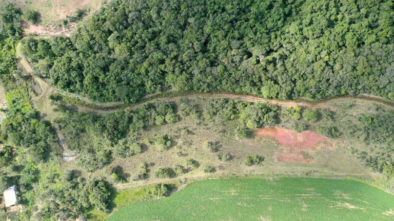 Imagem Fazenda à Venda, 390.000 m² em Santa Cruz De Goiás