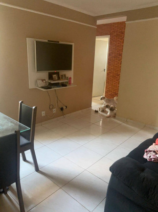Imagem Apartamento com 2 Quartos à Venda, em Residencial Takanos - Campinas Imagem Apartamento com 2 Quartos à Venda, em Residencial Takanos - Campinas