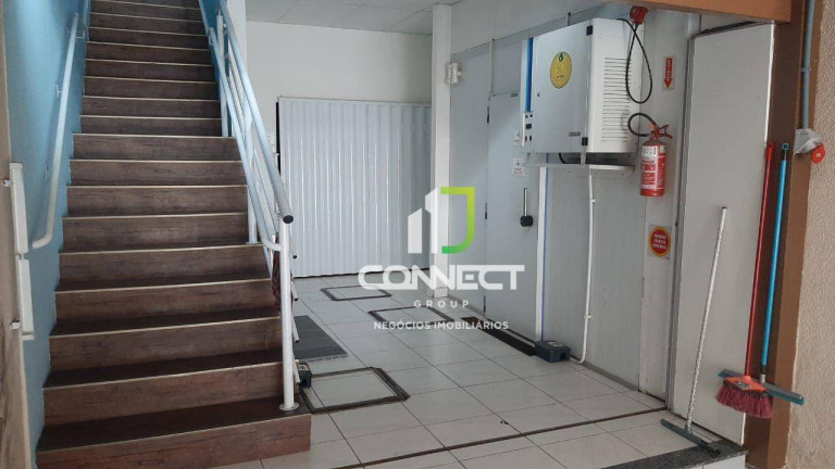 Imagem Casa com 3 Quartos à Venda, 308 m² em Cordeiros - Itajaí