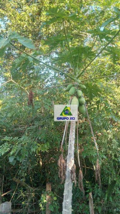 Imagem Fazenda à Venda, 26.100 m² em Vila Maria - Itapetininga Imagem Fazenda à Venda, 26.100 m² em Vila Maria - Itapetininga