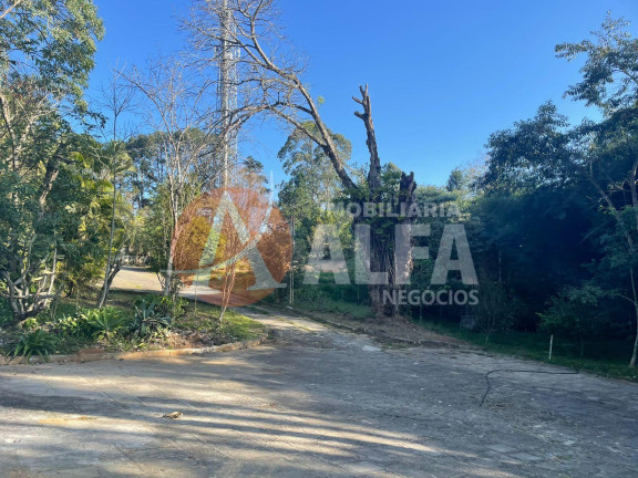 Imagem Imóvel com 6 Quartos para Alugar, 4.000 m² em Parque Dom Henrique - Cotia Imagem Imóvel com 6 Quartos para Alugar, 4.000 m² em Parque Dom Henrique - Cotia