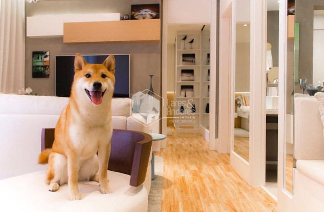 Imagem Apartamento com 2 Quartos à Venda, 49 m² em Vila Mascote - São Paulo Imagem Apartamento com 2 Quartos à Venda, 49 m² em Vila Mascote - São Paulo