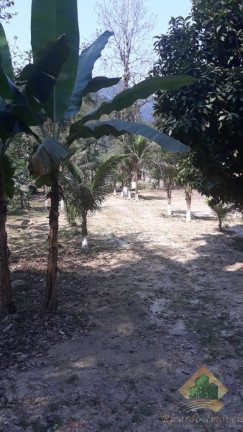 Imagem Chácara com 4 Quartos à Venda, 550 m² em Horto Florestal - Ubatuba Imagem Chácara com 4 Quartos à Venda, 550 m² em Horto Florestal - Ubatuba
