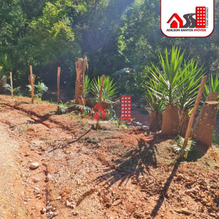 Imagem Imóvel com 2 Quartos à Venda, 72.000 m² em Santo Aleixo Juruaia - Juruaia