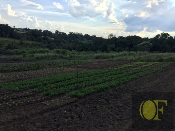 Imagem Fazenda à Venda, 27 m² em Avare - Avaré