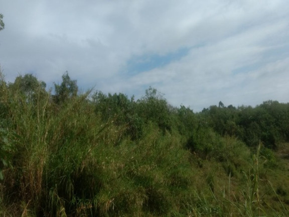 Imagem Terreno à Venda, 55.000 m² em Colônia (zona Leste) - São Paulo Imagem Terreno à Venda, 55.000 m² em Colônia (zona Leste) - São Paulo