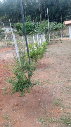 Imagem Chácara à Venda, 50 m² em Cuiabá - Nazaré Paulista
