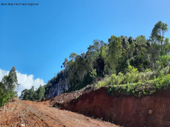 Imagem Terreno à Venda, 362 m² em Germânia - Nova Petrópolis Imagem Terreno à Venda, 362 m² em Germânia - Nova Petrópolis