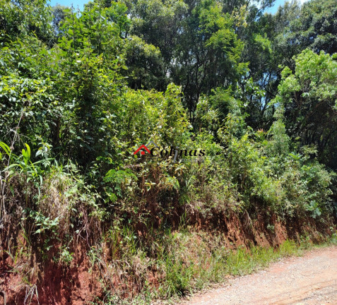 Imagem Terreno à Venda, 2.400 m² em Depois Do Centro - Ibiúna Imagem Terreno à Venda, 2.400 m² em Depois Do Centro - Ibiúna